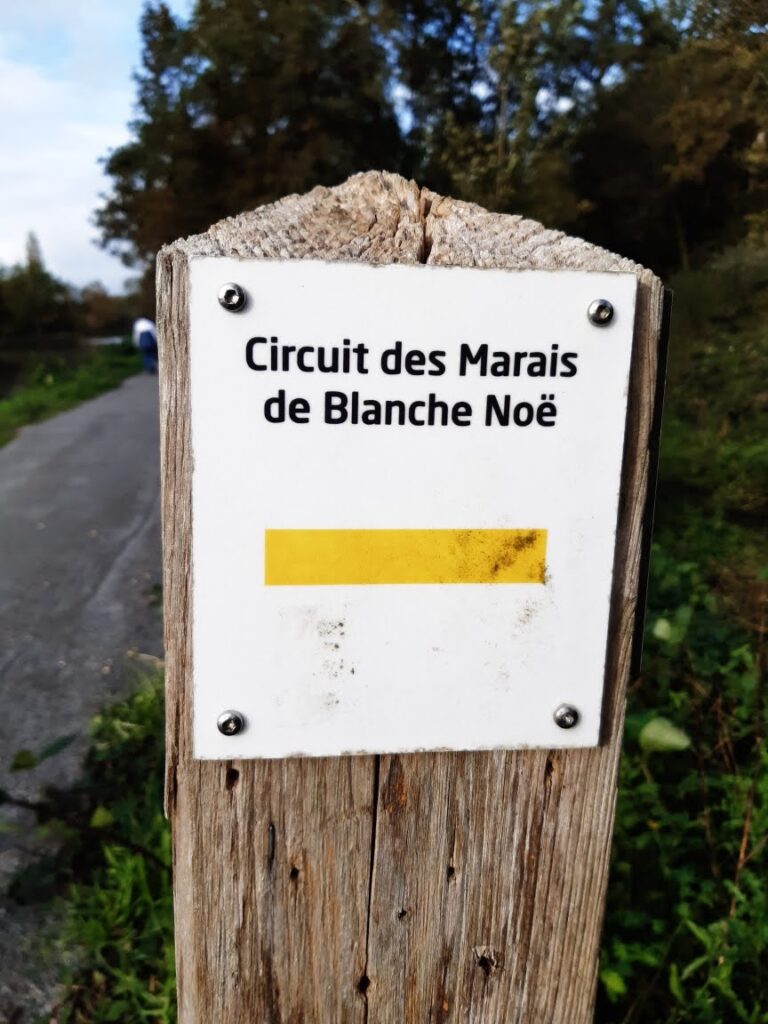 Randonnée du 31 oct 2023 circuit des marais de Blanche Noé sur Nort sur Erdre